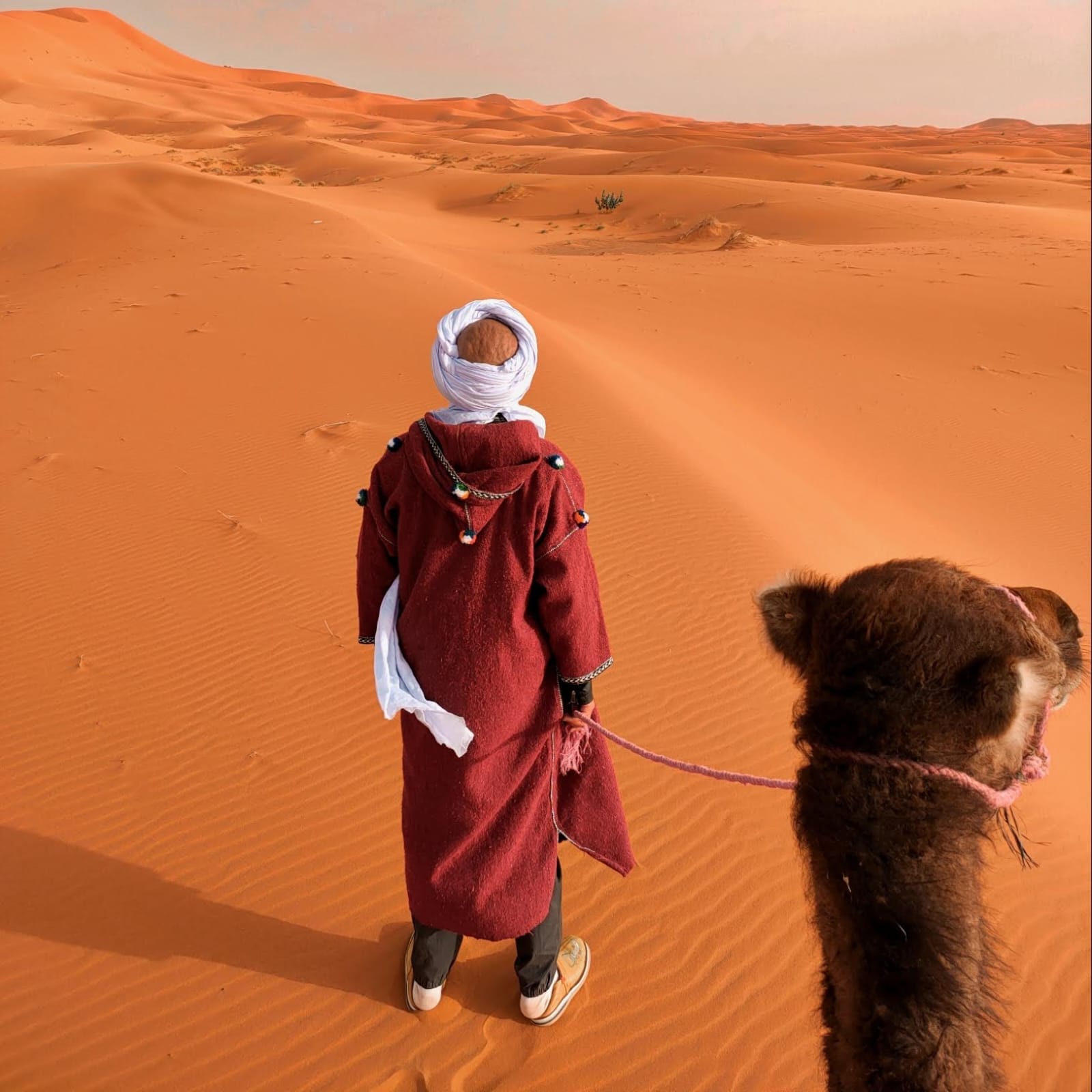 12 Days Tour from Casablanca to Marrakech